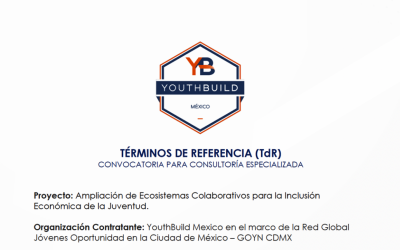 Convocatoria | Consultoría para ampliación de ecosistemas colaborativos para la inclusión económica de la juventud